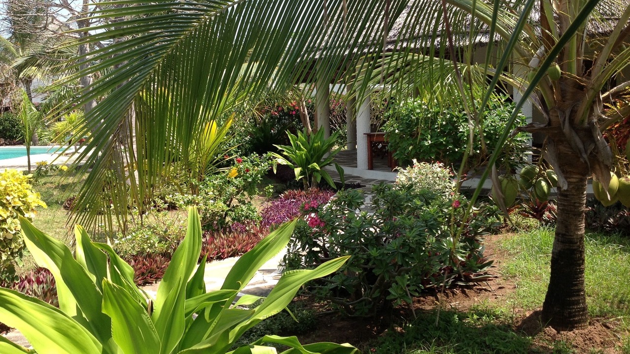Photo of Outdoor in Watamu