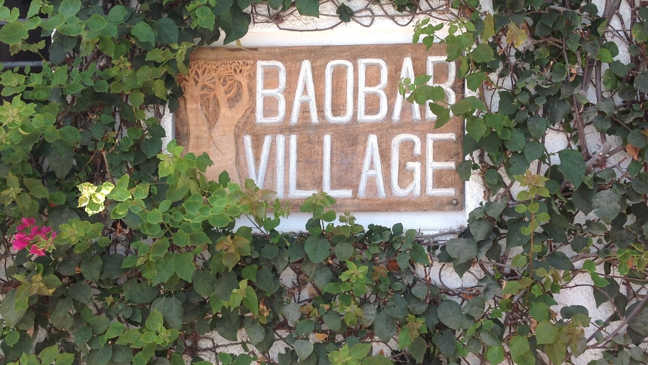 Photo of Outdoor in Watamu