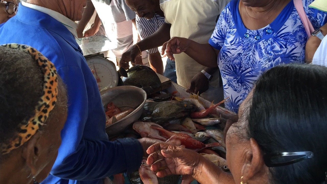 Photo of Others in Saint-Francois