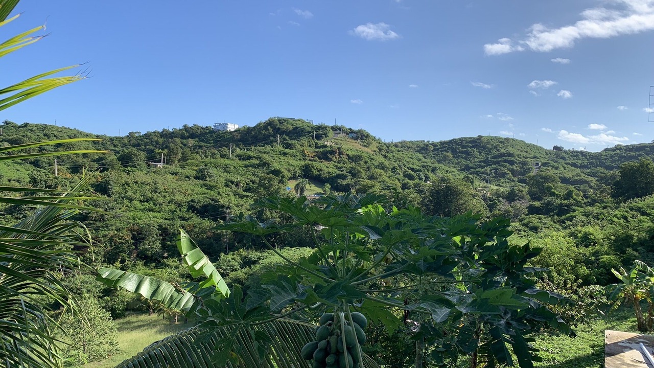 Photo of Outdoor in Villa Borinquen