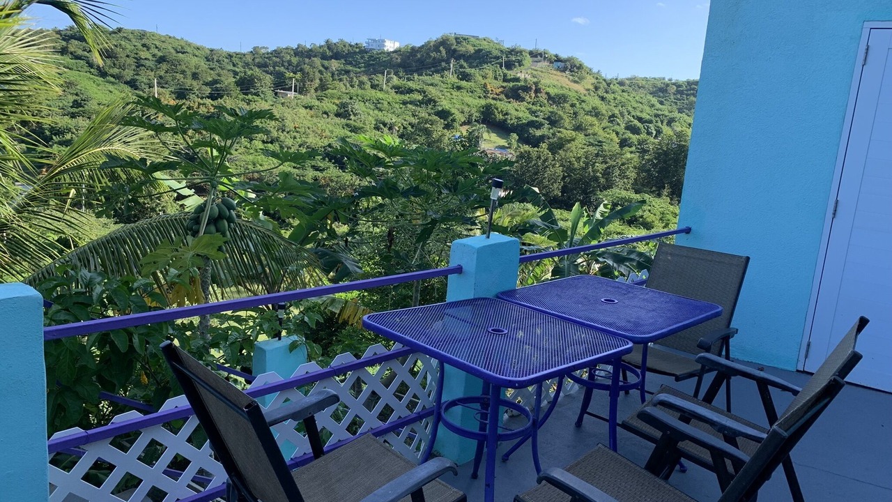 Photo of Outdoor in Villa Borinquen