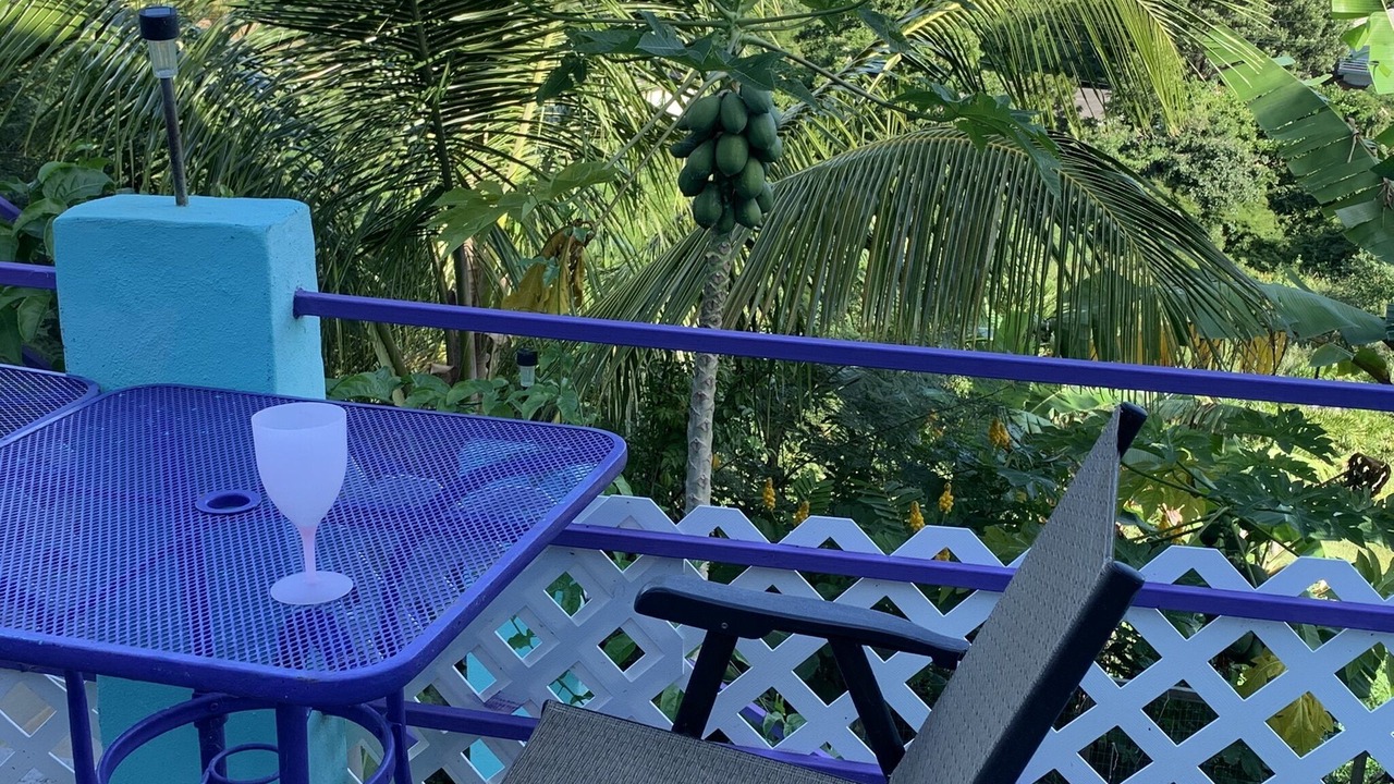 Photo of Outdoor in Villa Borinquen