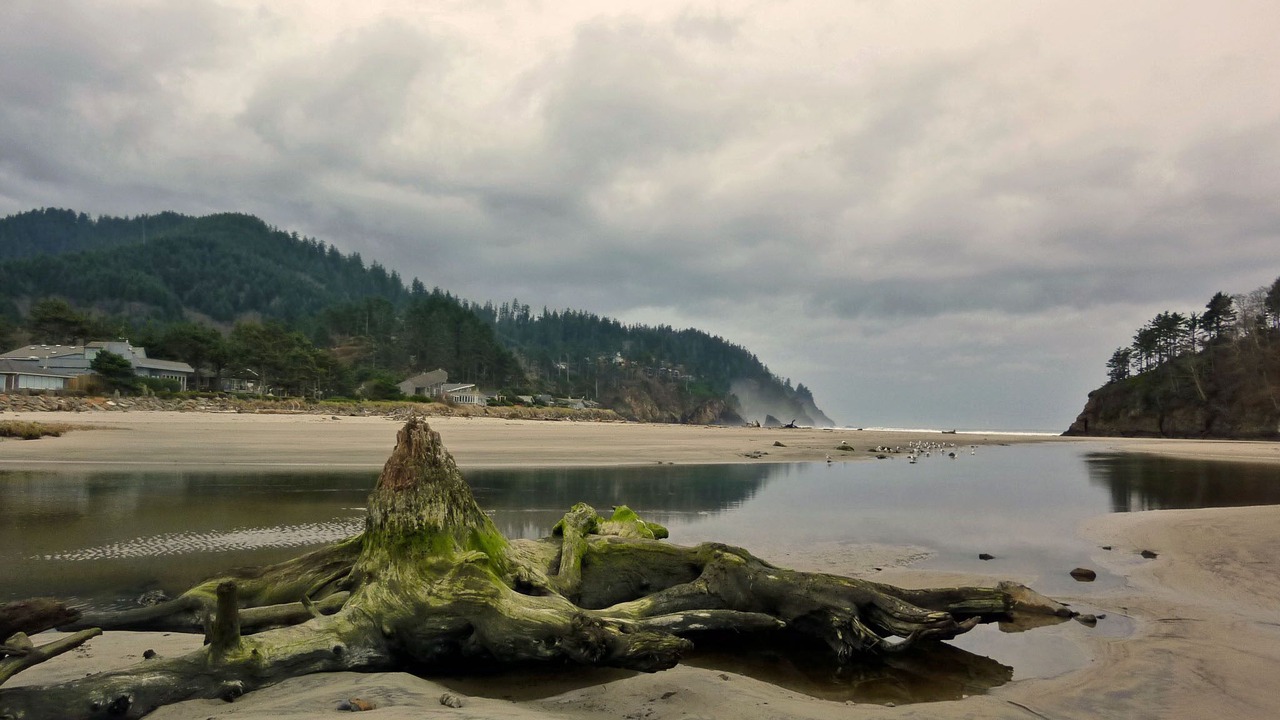 Photo of Others in Neskowin