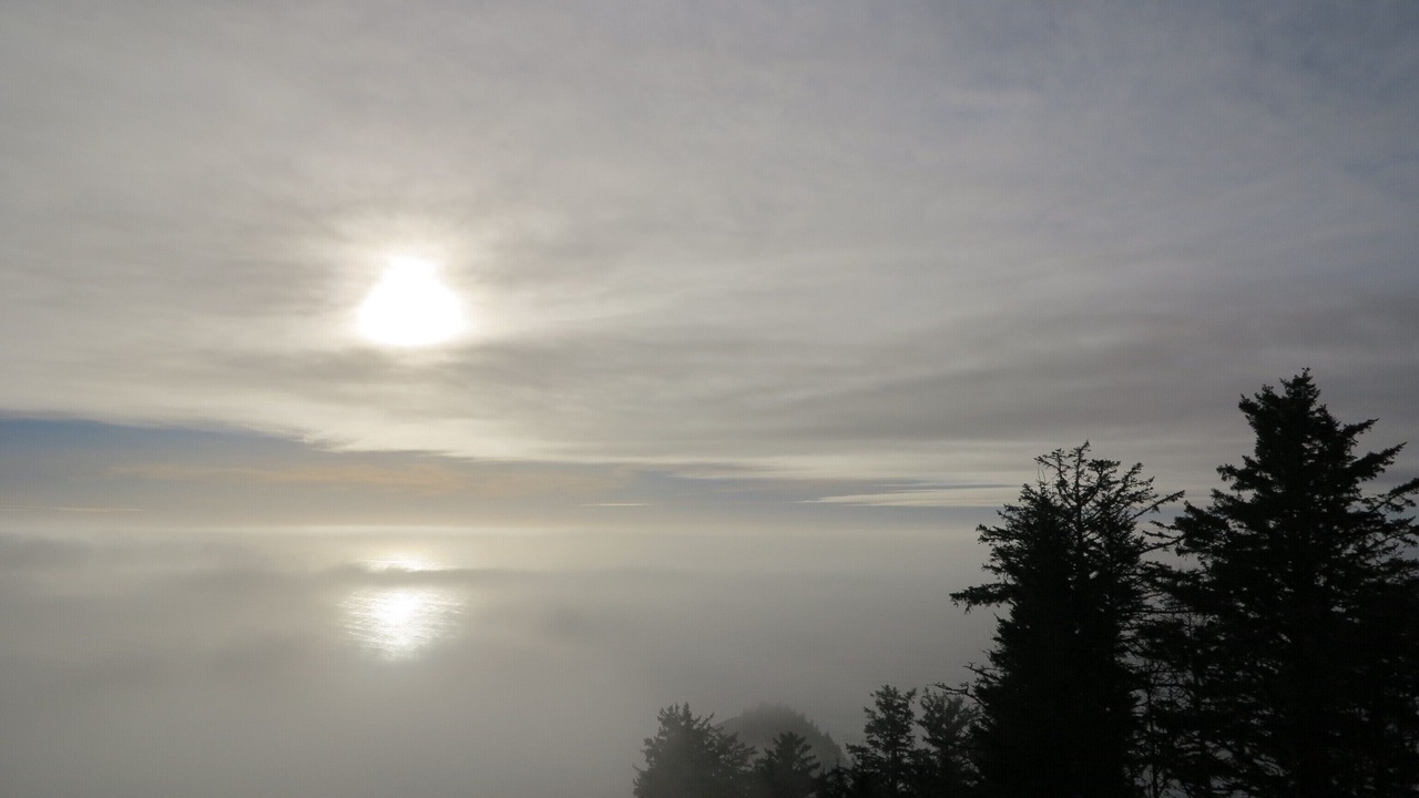 Photo of Others in Neskowin