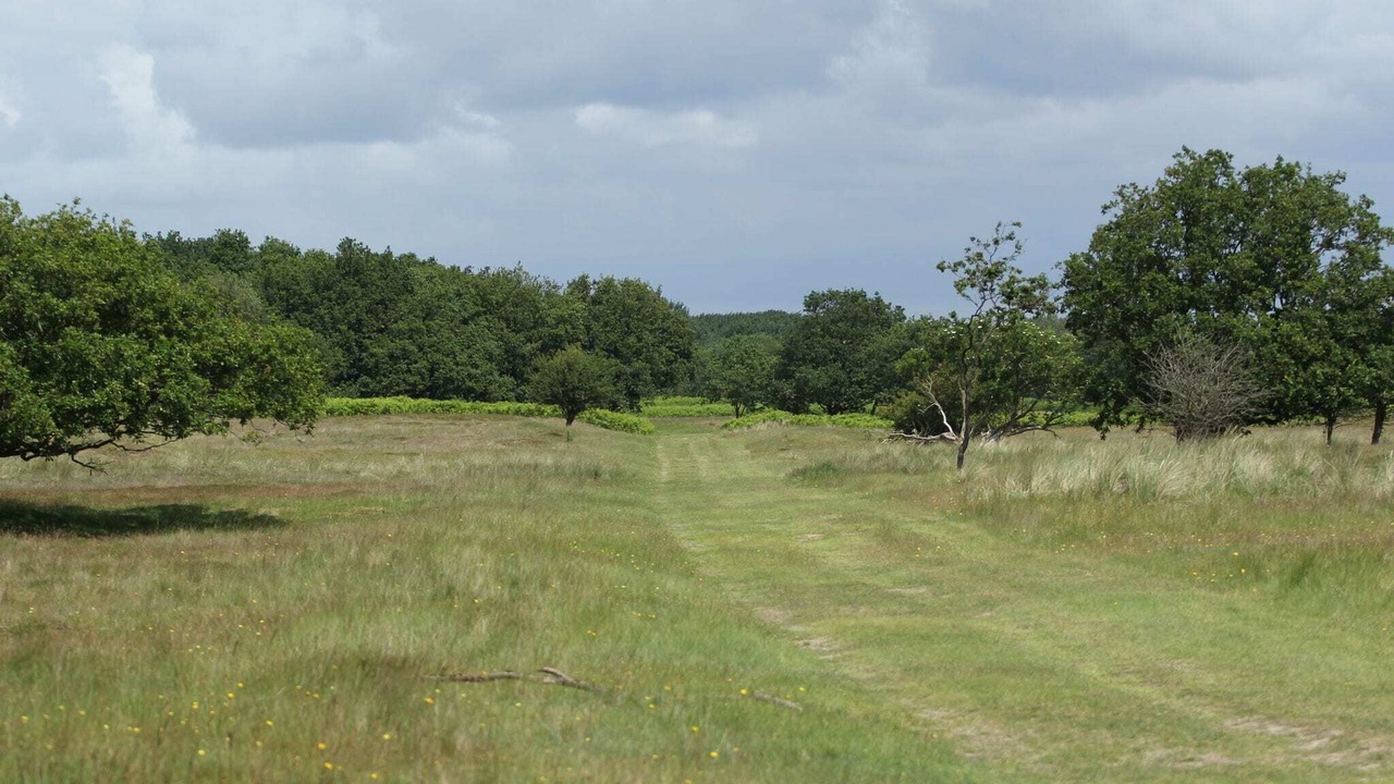 Photo of Others in Municipality of Noordwijk
