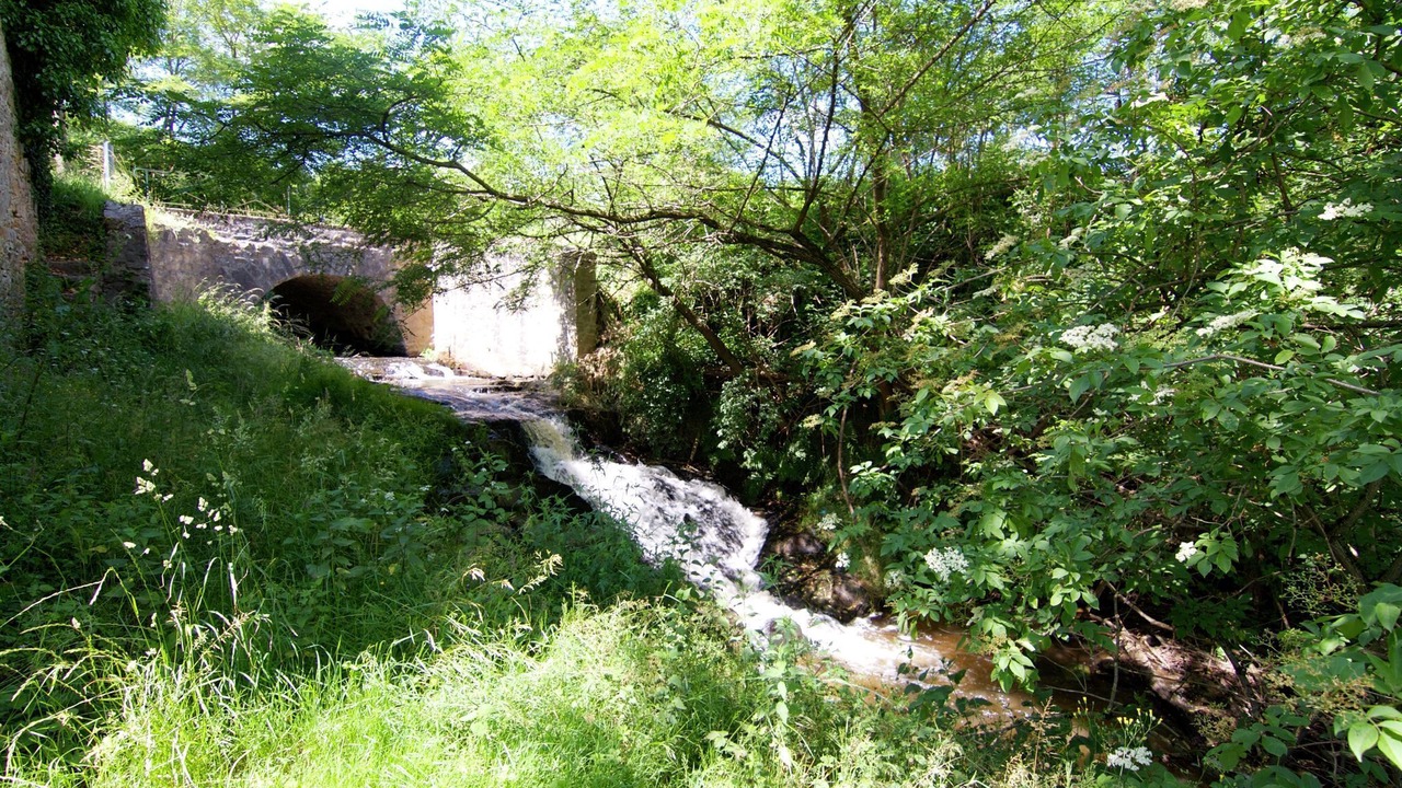 Photo of Outdoor in Le Chalard