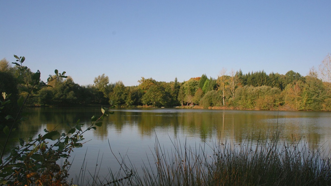 Photo of Others in Le Chalard