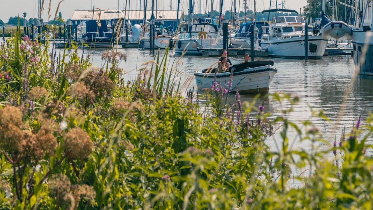 Photo of Others in Dordtse Biesbosch