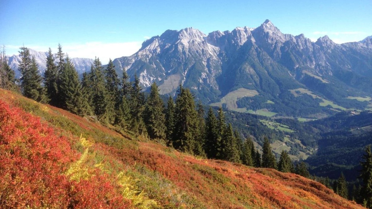 Photo of Others in Maria Alm am Steinernen Meer