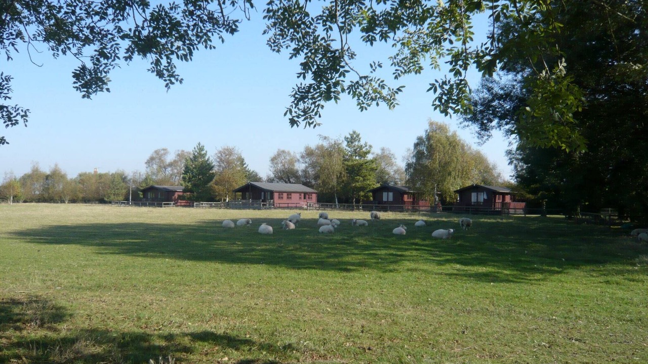 Photo of Others in Romney Marsh