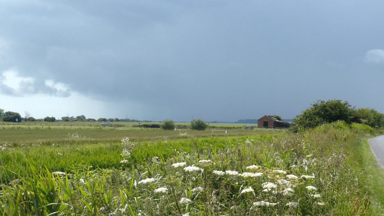 Photo of Others in Romney Marsh