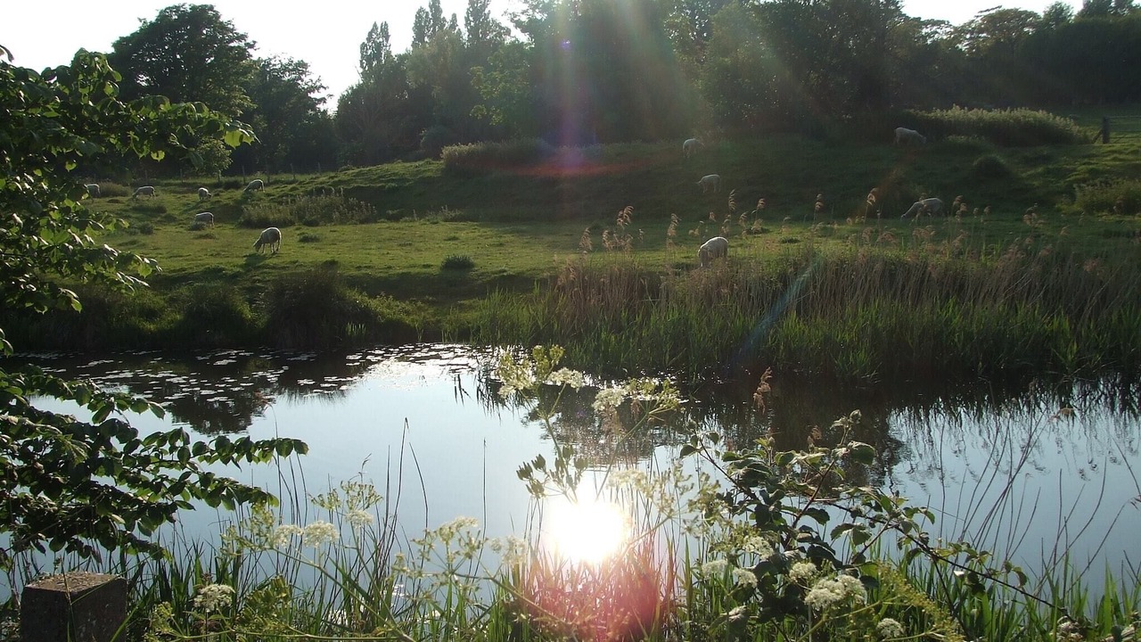 Photo of Others in Romney Marsh