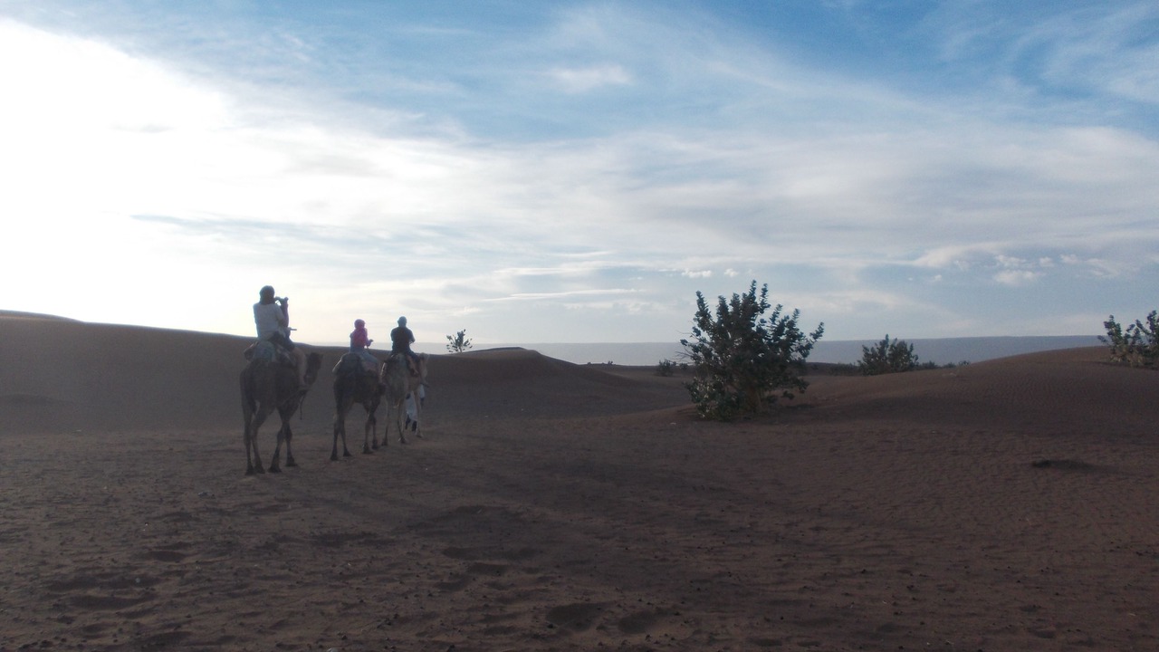Photo of Others in Amezrou