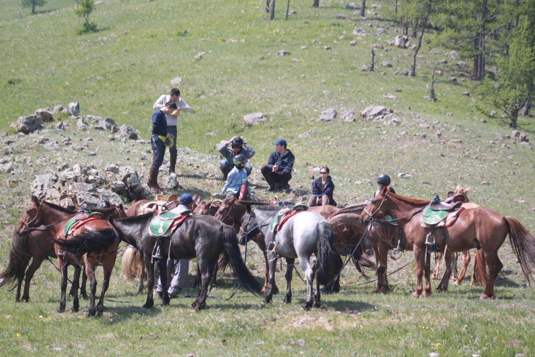 Photo of Human In Picture in Tov
