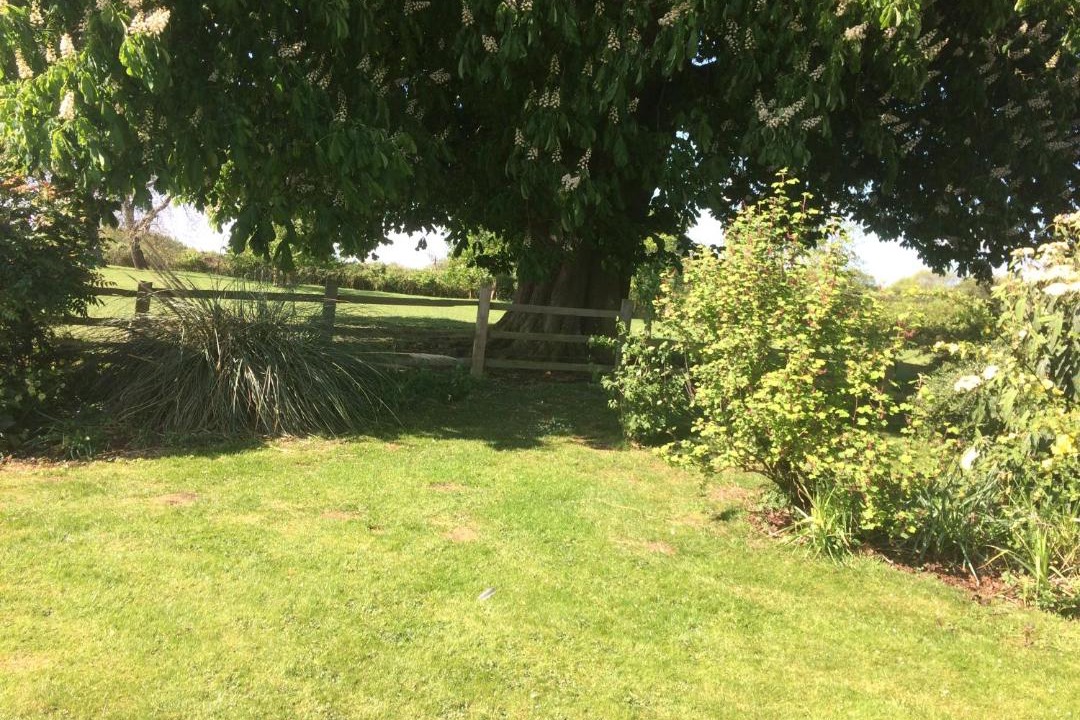 Photo of Others in Newport Pagnell