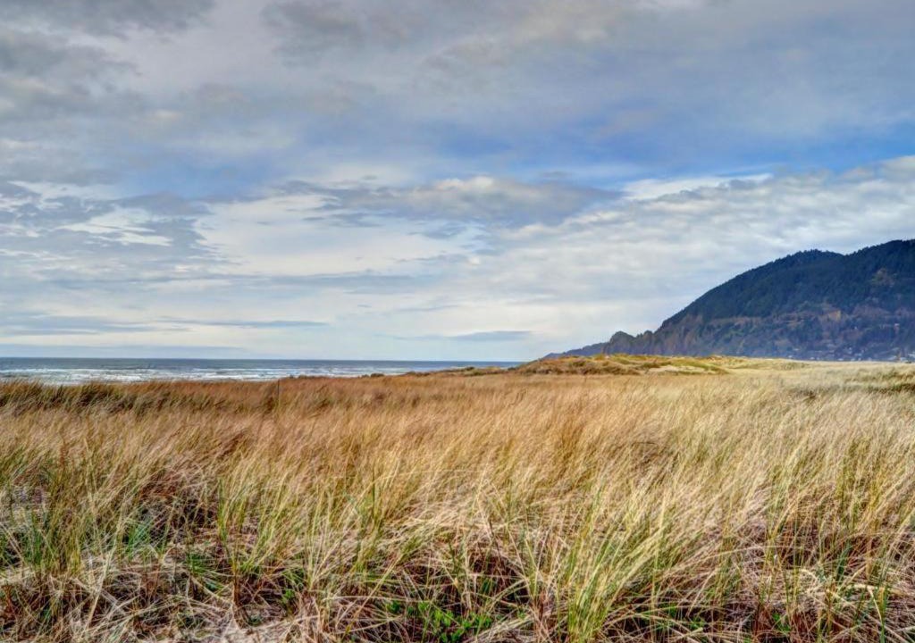 Photo of Others in Manzanita