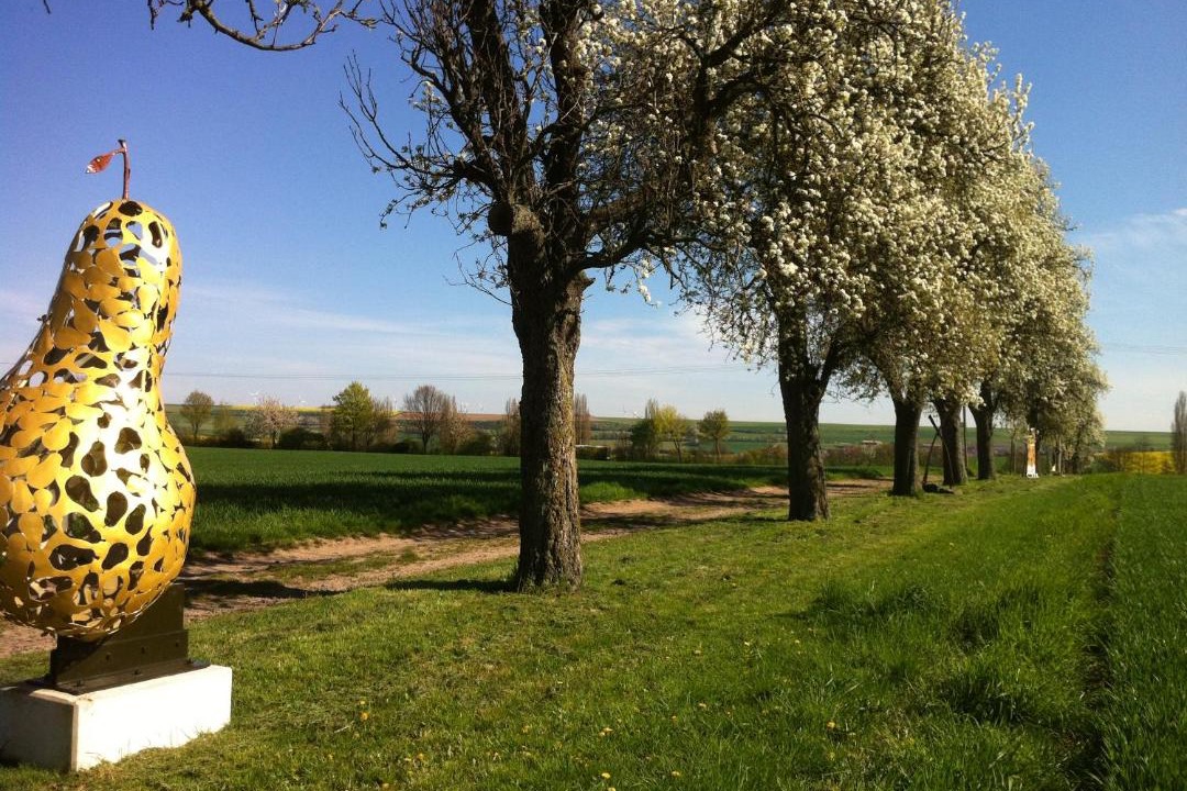 Photo of Others in Offenheim