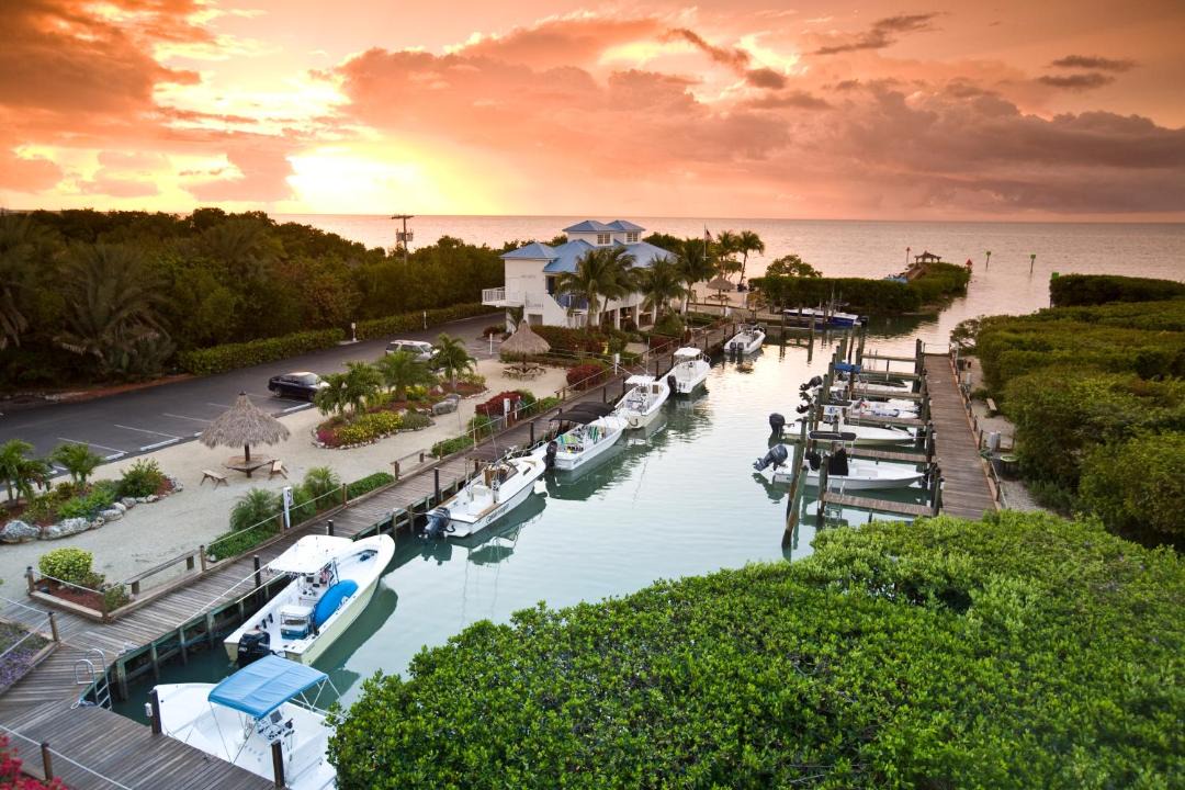 Photo of Others in Tavernier