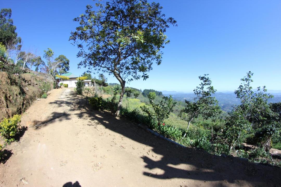 Photo of Outdoor in Welimada
