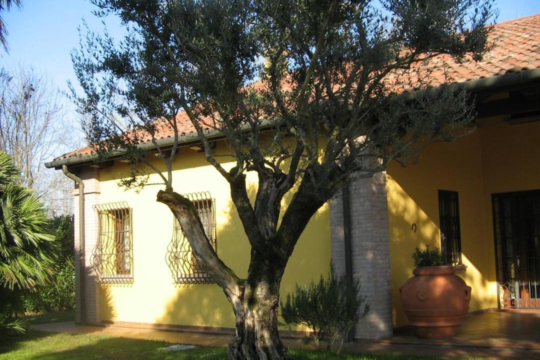 Photo of Buildings in Rubano