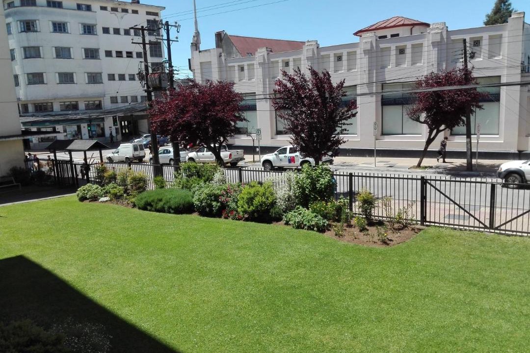 Photo of Others in Osorno
