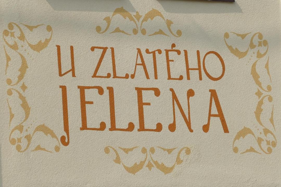 Photo of Others in Zinkovy
