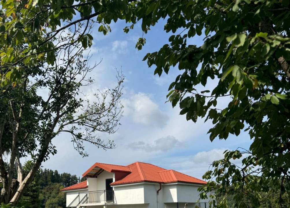 Photo of Others in Tkhilnari