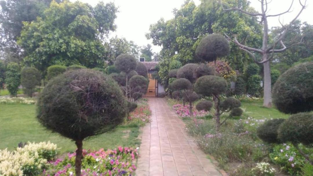 Photo of Outdoor in Jacobpura
