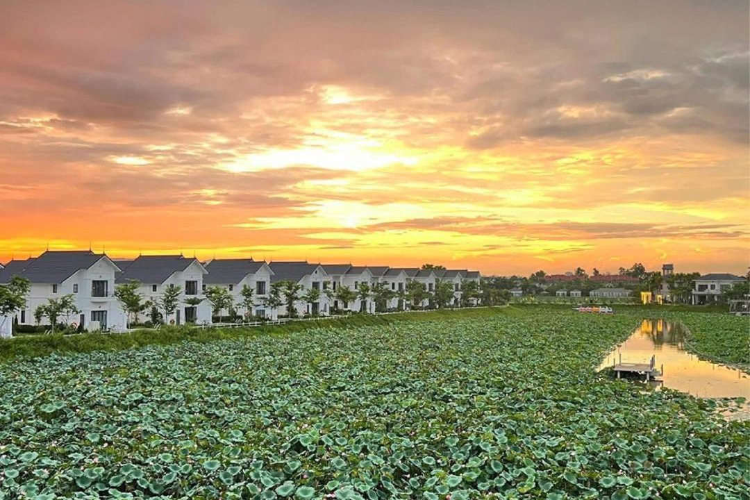 Photo of Others in Thanh Thuy