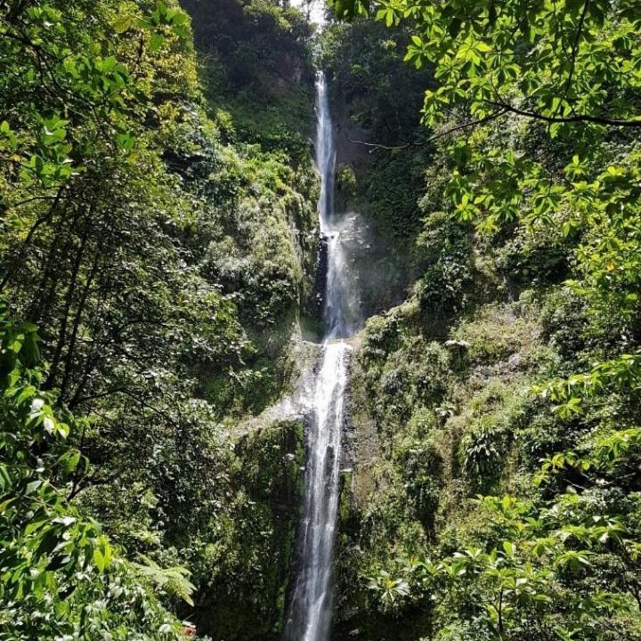 Photo of Others in Goyave