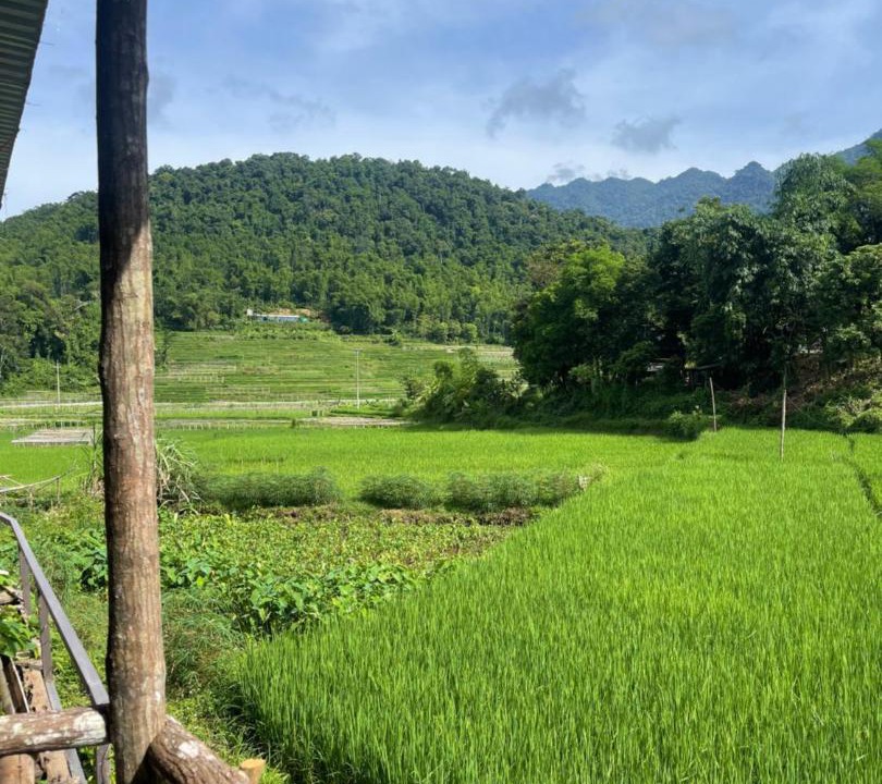 Photo of Others in Mai Chau