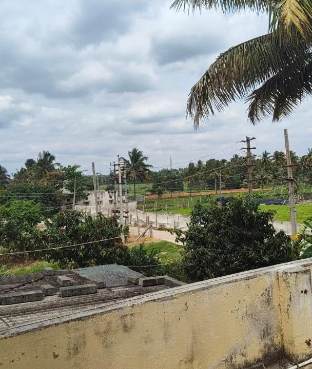 Photo of Others in Agara