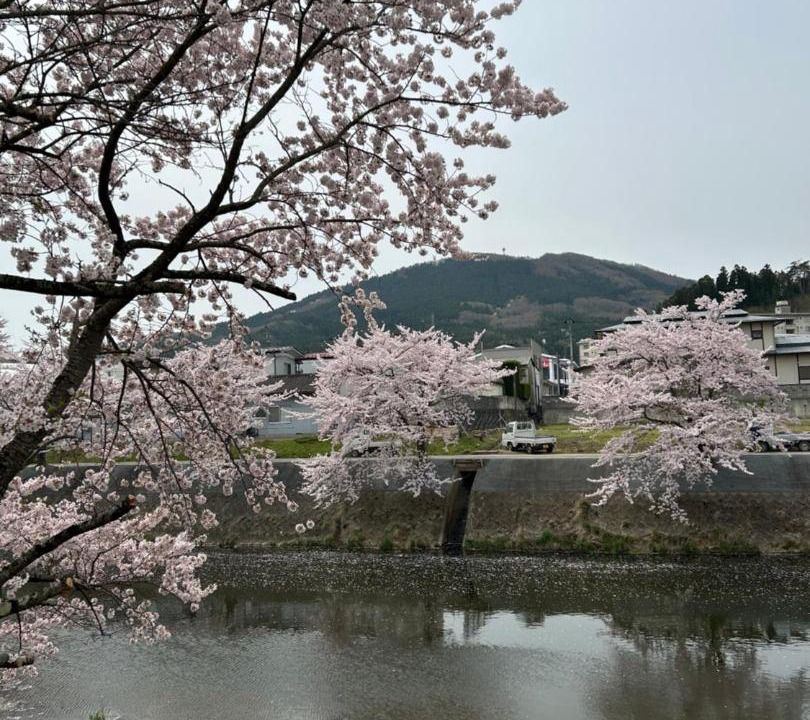 Photo of Others in Funehiki