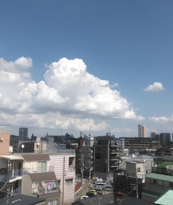 Photo of Others in Toshima