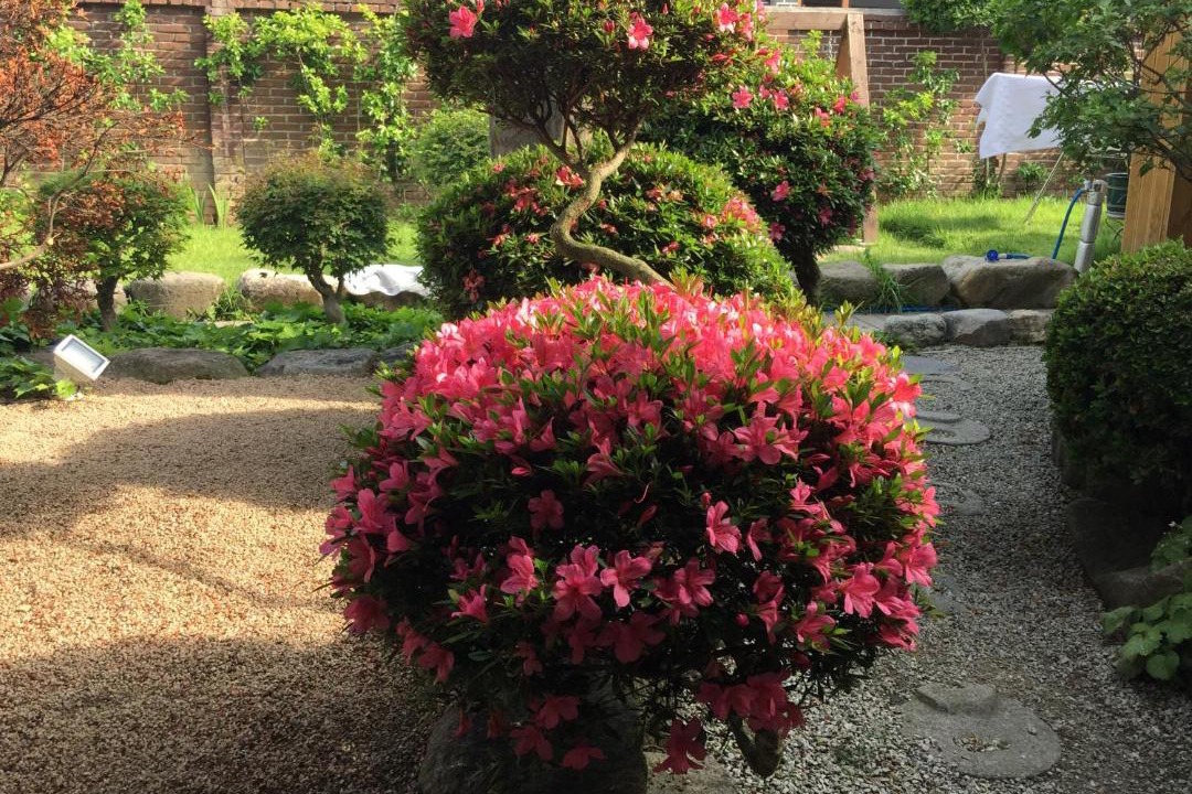 Photo of Outdoor in Jeonju