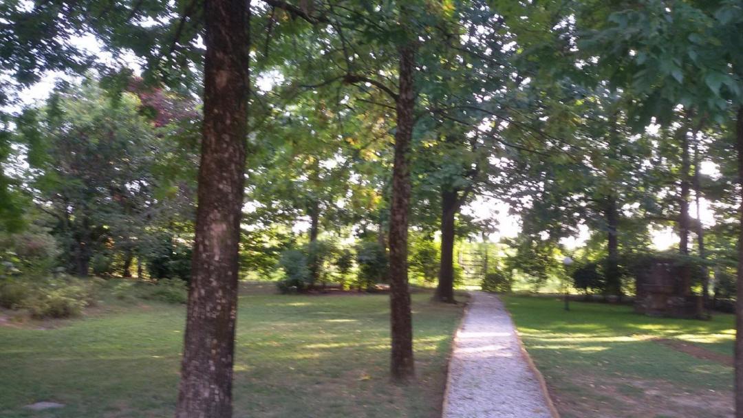 Photo of Outdoor in Rubano