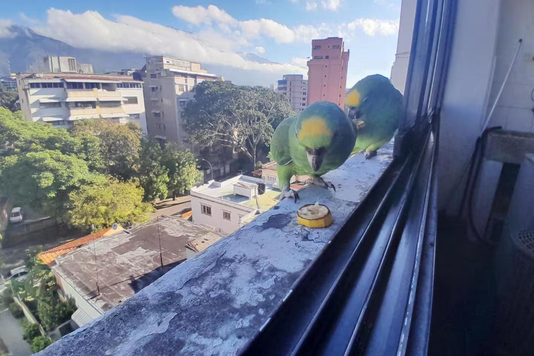 Photo of Patio Balcony in Downtown La Paz