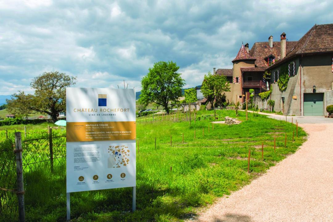 Photo of Buildings in Allaman