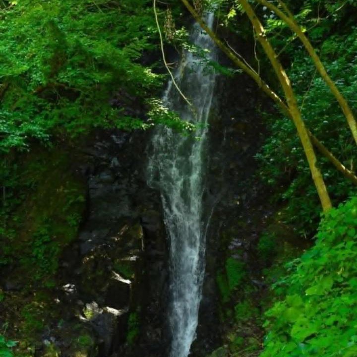 Photo of Others in Tsikhisdziri