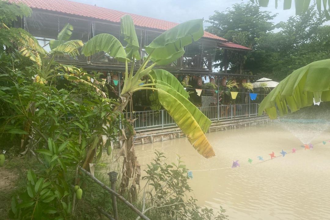 Photo of Others in Ban Na