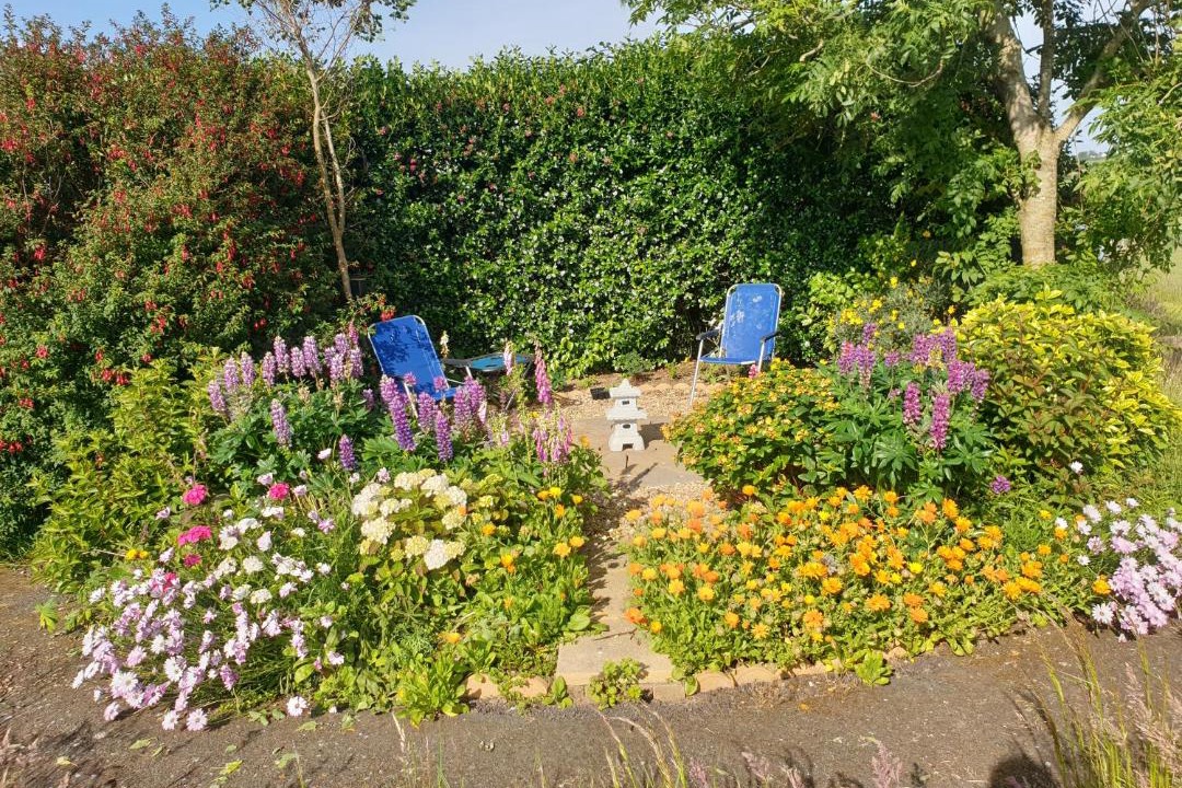 Photo of Outdoor in Ballyhack