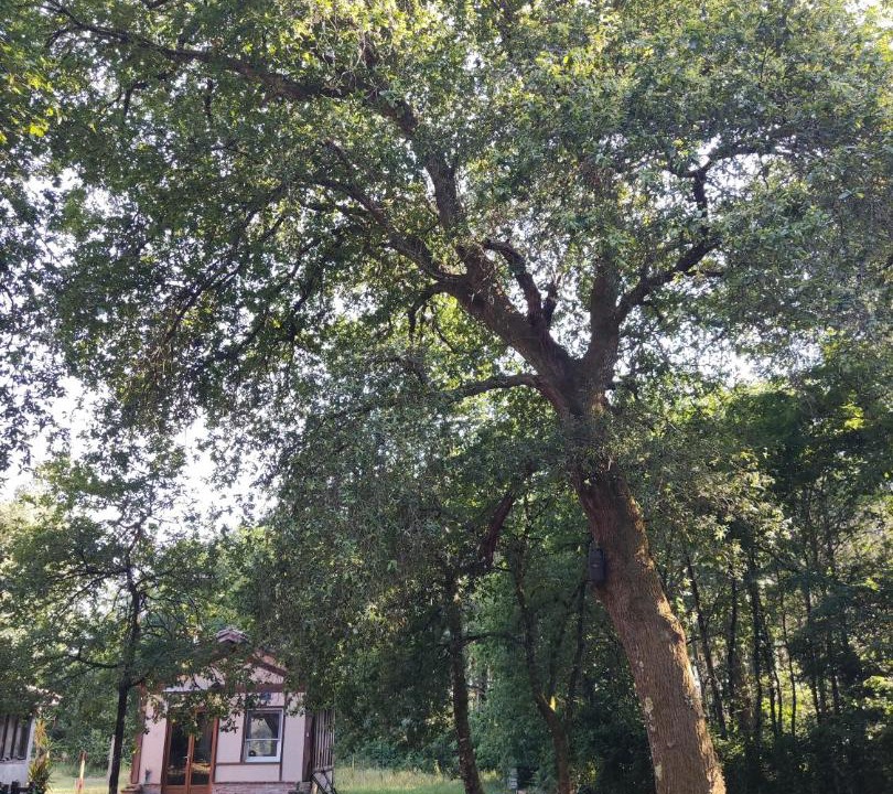 Photo of Outdoor in Moustey
