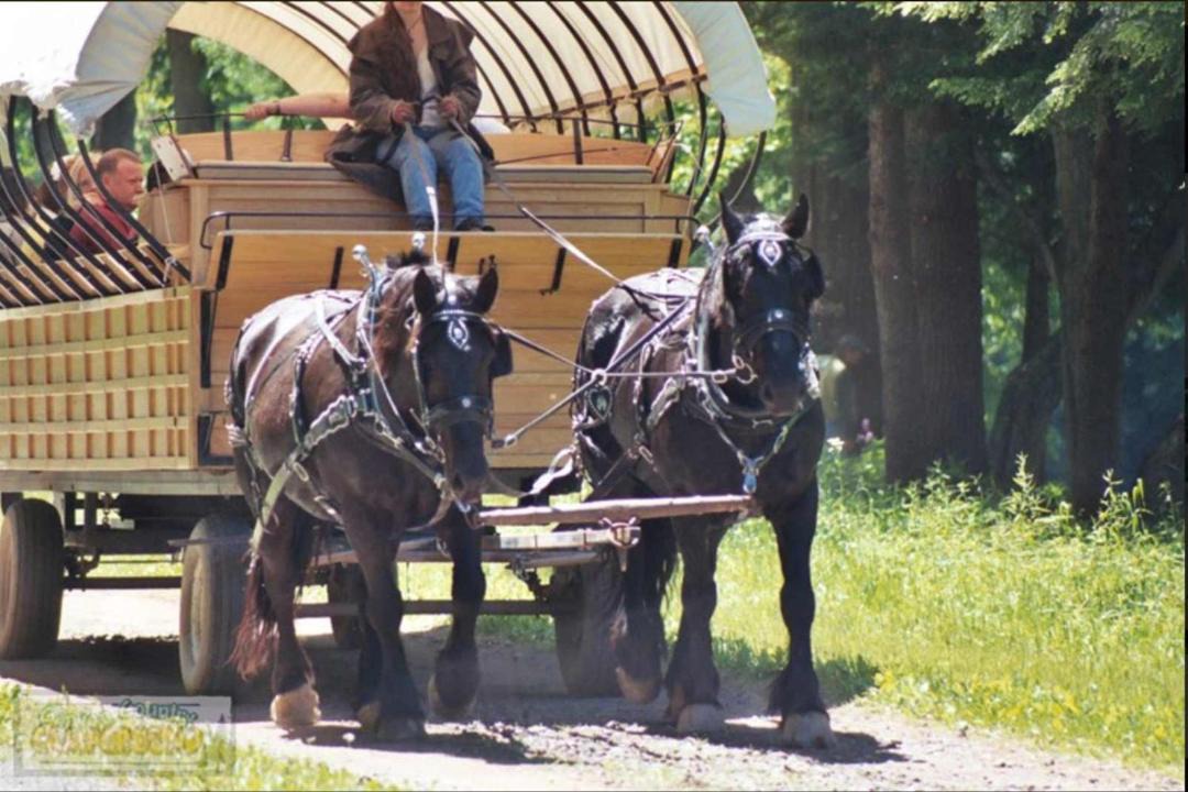Photo of Others in Wellsboro