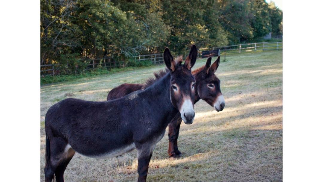 Photo of Others in Great Horkesley