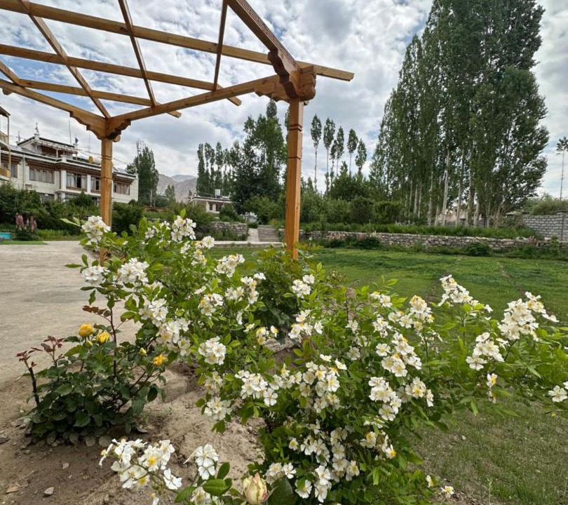 Photo of Outdoor in Leh