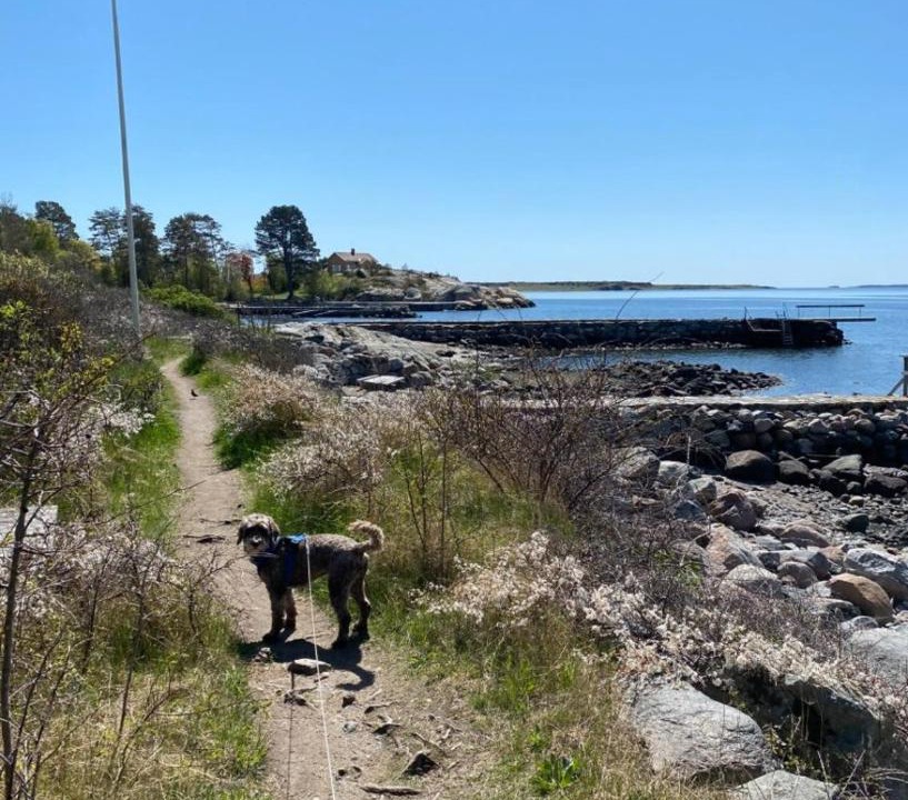 Photo of Others in Rygge