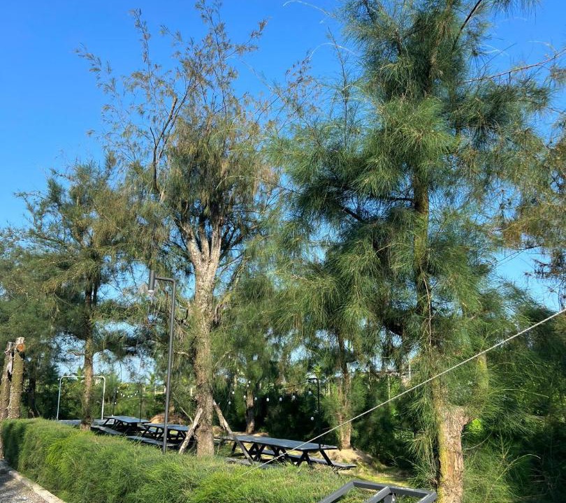Photo of Outdoor in Hai Hau