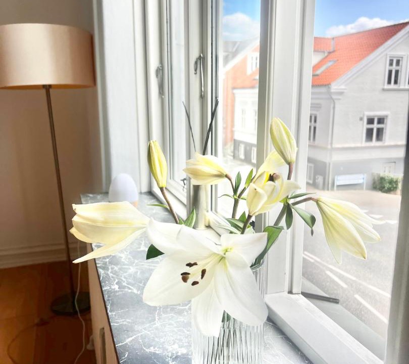 Photo of Others in Vejle