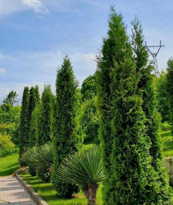 Photo of Outdoor in Ijevan