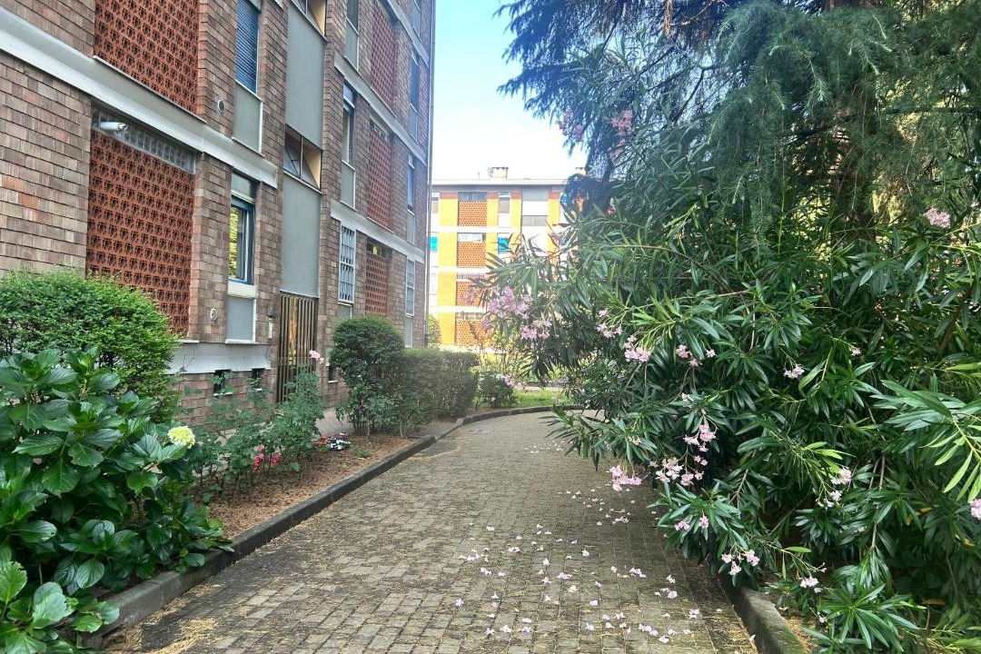Photo of Others in Forlanini